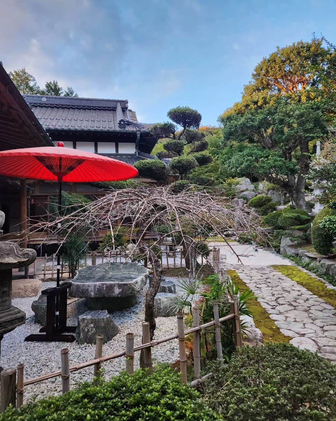 のインスタグラム：「Hello Autumn 🍂 👋  Brought Japanese umbrella in the garden...❤️  秋になってきましたね🥰 お外に野点傘を出してみました🍁お茶をいれたくなりますね🍵  #fall #autumn #japanesegarden #zengarden #お茶 #茶道 #野点傘 #日本庭園 #古民家」