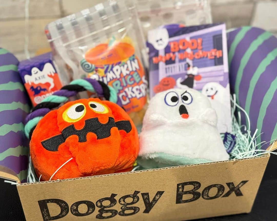 いくらさんのインスタグラム写真 - (いくらInstagram)「🎁 @doggybox_jp さんのDoggyBox10月号のご紹介🤩🙌 ・ 10月号のテーマは“Boo! Happy Halloween”🎃👍🍭 ・ 👻ゴーストとジャックオーランタンのおもちゃ 🫐ブルーベリーフレーク 🎃かぼちゃせんべい 🐷豚肉ジャーキー 🍊オレンジ食器洗剤 🕺変身かつら（箱に入っている紙の梱包材🤩） ・ いくらは👻のおもちゃが特にお気に入り😍💕 ・ ワンコの健康を考えたおやつにも大満足🤤🍴 ・ ドギボはいつも季節感のあるので届くのが楽しみだね❣️ ・ ・ #pr #doggybox #ドギボ #犬のおもちゃ #犬のおやつ #シーズー #シーズー好き #シーズー犬好き部 #シーズー大好き部 #シーズー #シーズー部 #ロングまつ毛ワンコの会 #いぬのきもち部 #いぬのきもち #鼻ぺちゃ犬 #短足犬 #いぬすたぐらむ🐶 #shitzu #shitzumania #shihtzuclub #shihtzuloves #shihtzulovers #shihtzugram」10月14日 18時32分 - i_am_ikura