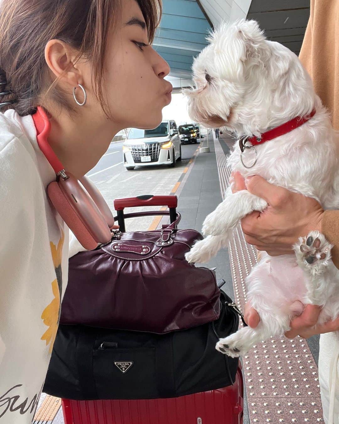 静華ジャズミンのインスタグラム：「Quick trip home for work ❤️ 仕事のために10日間の短期帰国✌🏼  現場弁当いただいて、お団子も食って、家族にも会えました。 様々チャージして、ロンドンで頑張ってきます!!」