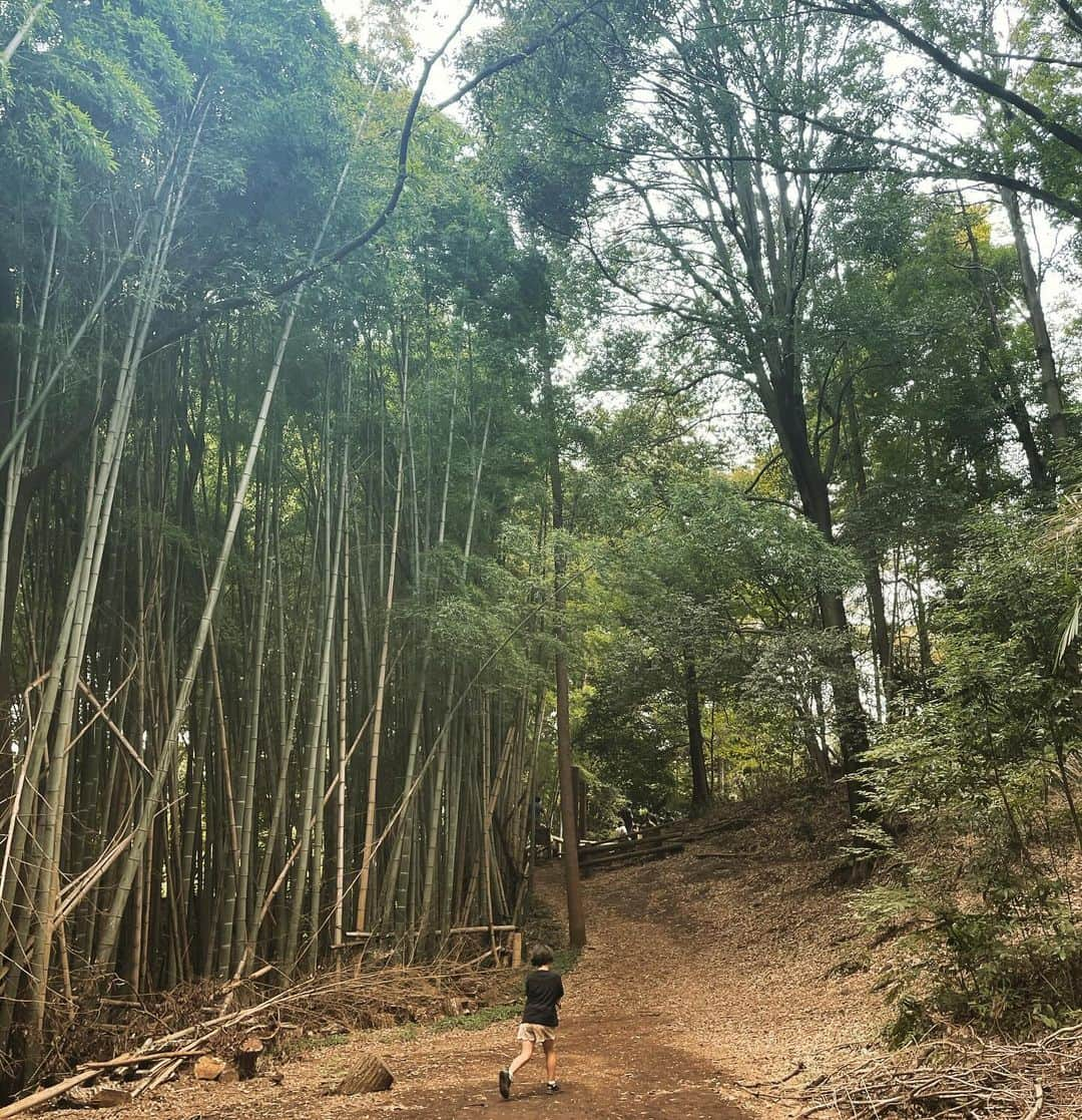 大和田美帆さんのインスタグラム写真 - (大和田美帆Instagram)「. ワガコ見てて思うんですけどね。  与えられることが多くて  自ら考えたり想像したり思いついたり行動する機会が減っちゃってるよなぁ、、ということ。  おもちゃもゲームもNetflixもYouTubeも、便利だし楽しいし勉強になることもあるから 全然否定しない。 ワガコも大好きですし(時間制限付き)  でも、その一方で、  何もない野原で  自分たちの想像力や発想力をたっぷり使って、心をパッカーン！と開いて、無限に思いっきり遊ぶこともしっかり大切にしたいなぁと思うんです。  都内にいるとなかなかそんな体験もできづらくて。  公園にいけば  大きな声を出しちゃダメ ボールは使用禁止 この遊具はこうやって遊んで と記載があり。  安全のためとは分かっていても 伸び伸びと遊ぶ気持ちは少ししょんぼり。  学校では、「あなたはどう思う？」という人それぞれ自由に答えられるものよりも、正解が一つしかないものを求められることも多く。  まだまだ 「みんな同じ」が好まれる環境も少なくない。  ただでさえ、 電車やバスやレストランなどで  子どもや子連れ親子が歓迎されてない空気になることもある中で(もちろん騒ぎすぎは良くないけれどね、色んな事情もあるじゃない。大人も想像力が必要)  公園でも自由に遊べなくなって。  ドラえもんのように 誰かの家の窓は割らなくなったけど  時には 正しいことよりも 楽しいことの方が 大切なこともある。  と知らずに育つのは  とっても不安だなぁと。  親の方も、 一緒に遊んだり考えたりする余裕がない日の方もあって、私も自分がラクしたくて、与えてしまうこともしばしば。  だからこそ 今日こそは！と 私もなんとか元気出して重い腰上げて  想像力、発想力豊かな ワガコと思いっきり遊んでみよう！ みたいな日を作ってます。  すると自分自身も子どもに戻ったような感覚になって、すごく楽しくなってくるんです。 忘れてた何かが飛び出てくる。  先日は山の中のアスレチックに行ってきました。 泥だらけ、池に落ちてずぶ濡れにもなりましたが、 たのしかった。 秋の虫や鳥の声も聞けたし トゲトゲに入った栗は久しぶりに見た！  もうそんな日はヘトヘトで足がワナワナで、ワガコより先に寝ちゃうんですけど(^◇^;)  そうでもしないと なかなか、ワガコの心を思いっきりパカーン！と開放させてあげられないのが現実です。  11/26のワークショップ @cocokara_ws  も (次の月曜日に申し込み締め切り)  どうにか子どもたちに心をパカーンとしてもらいたくて始めたもので。  前回はね  「木から落ちた小鳥を想像して手のひらに乗せて、隣の人に渡す」というゲームで  どれくらい傷ついた小鳥なのか 想像できる子どもたちが多くて すごくすごく感動したんです。  大人よりもはるかに 大きな世界で生きてる子どもたち。  与えられたことしかできない大人にならないためにも 自ら考え、想像して行動できる大人になるためにも  心をパカーン！！  する時間をたくさん作って 私自身も成長していきたいなぁ と思う土曜日の朝でした。  長いっ‼️  #こどもと遊ぶ#子どもの可能性#想像力を育む #子ども向けワークショップ #大人も楽しい  #フィールドアスレチック横浜つくし野#正しいより楽しい」10月14日 10時06分 - miho_ohwada