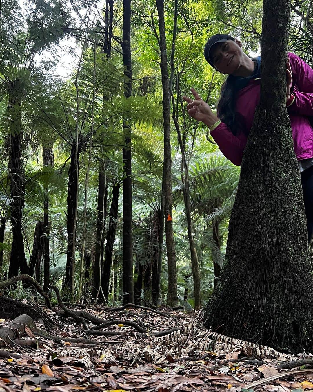 バレリー・アダムスさんのインスタグラム写真 - (バレリー・アダムスInstagram)「Nature is the purest portal to inner-peace. 🌿  Angie Welland Crosby   #hike #peace #nature #selflove #selfcare #timeout #fillmycup #love #nz #waikato」10月14日 11時03分 - valerieadams84