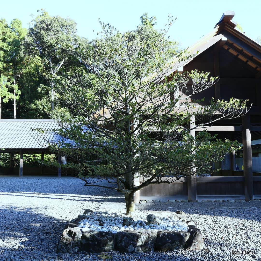 伊勢神宮のインスタグラム