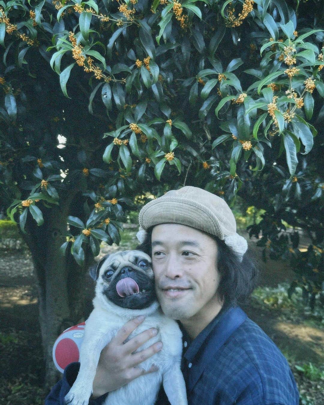 やついいちろうさんのインスタグラム写真 - (やついいちろうInstagram)「今日のこはだと私  散歩をしていて一番好きな季節 どこからか良い匂いがしてくる  #pug #pugs #puglife #puglove #パグ #パグスタグラム #うちの犬がおじいちゃんになっちゃった」10月14日 11時30分 - yatsuiichiro