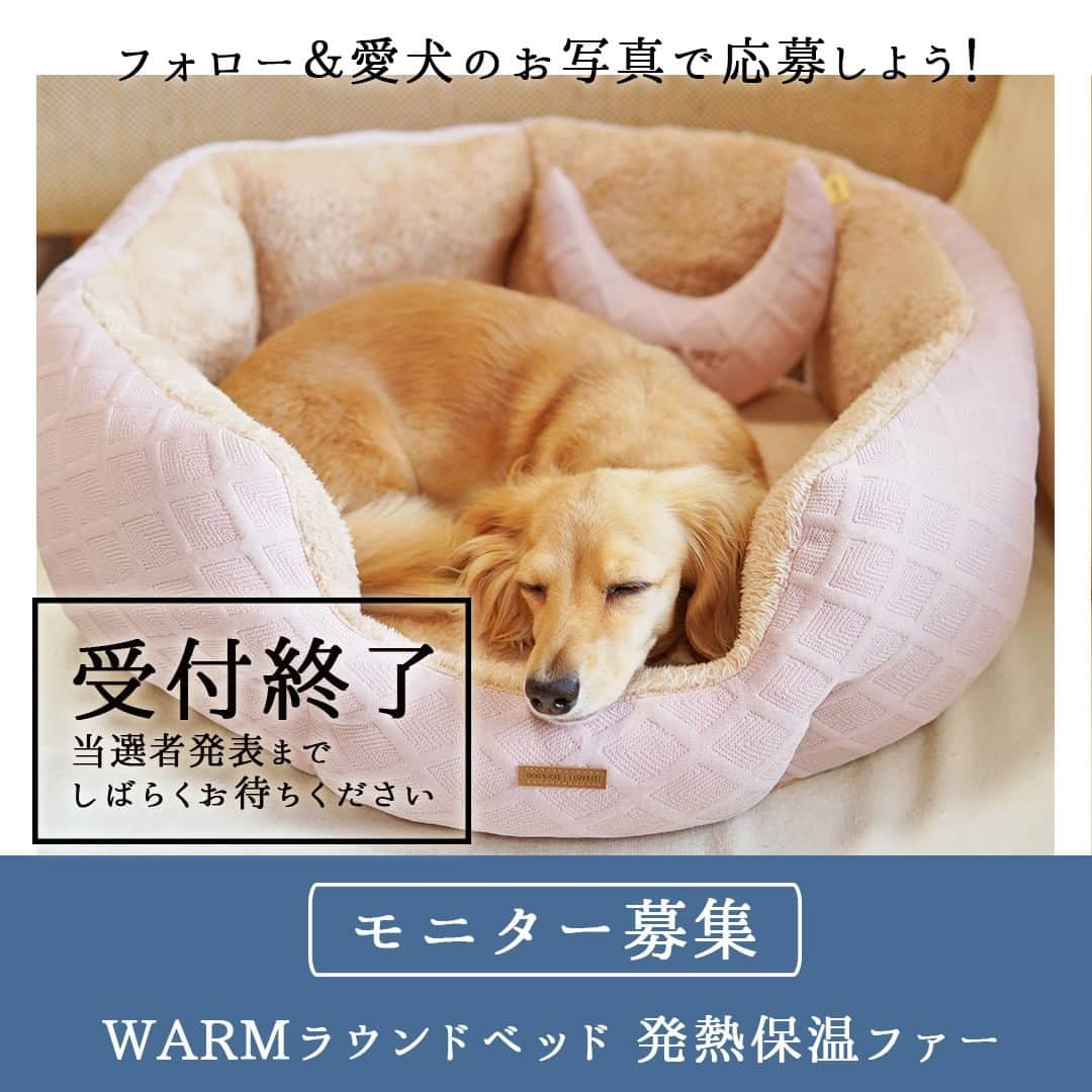 iDog&iCatさんのインスタグラム写真 - (iDog&iCatInstagram)「「WARMラウンドベッド 発熱保温ファー」のモニター応募は10/13に終了いたしました。 #iDogモニター応募2023ラウンドベッド へのたくさんのご応募ありがとうございます。 これ以降のご応募は受け付けられませんのでご了承ください。  これよりエントリーいただいた皆様の投稿から、抽選を行います。 結果発表までの抽選期間中にアカウントを非公開にしたり、応募用の投稿を削除されるなど、ハッシュタグの中から投稿が消えてしまうと選考から除外されてしまいますのでお気をつけ下さい。  当選者発表までお楽しみに！  #IDOGICAT #ペット用品 #モニター募集 #iDogSNSモニター応募 #秋冬新作 #犬服 #犬 #ペットベッド #お試し」10月14日 11時59分 - idogicat