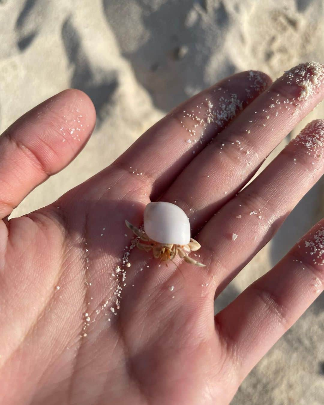 井上苑子のインスタグラム：「📍okinawa  海の中に魚たくさんいて感動した🐟 ヤドカリちゃんも初めまして🐚🫶🏻」