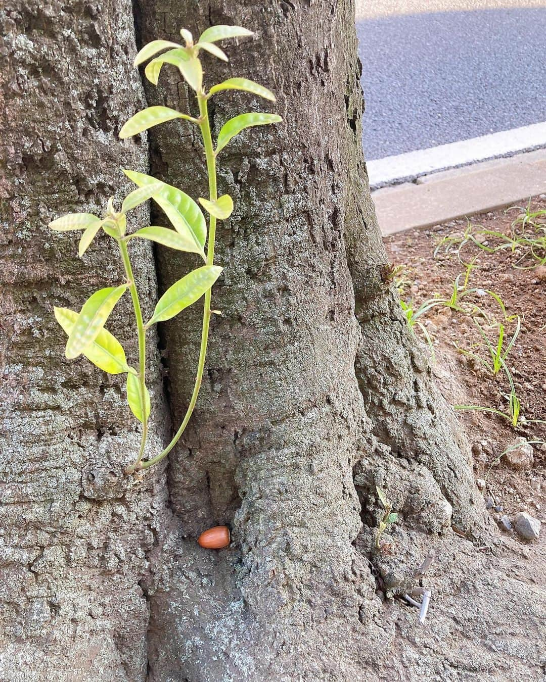 藤木由貴さんのインスタグラム写真 - (藤木由貴Instagram)「だいぶ過ごしやすくなってきましたね✨🍂🍠 ☺︎  秋の空気になった〜」10月14日 13時23分 - yuki.grm