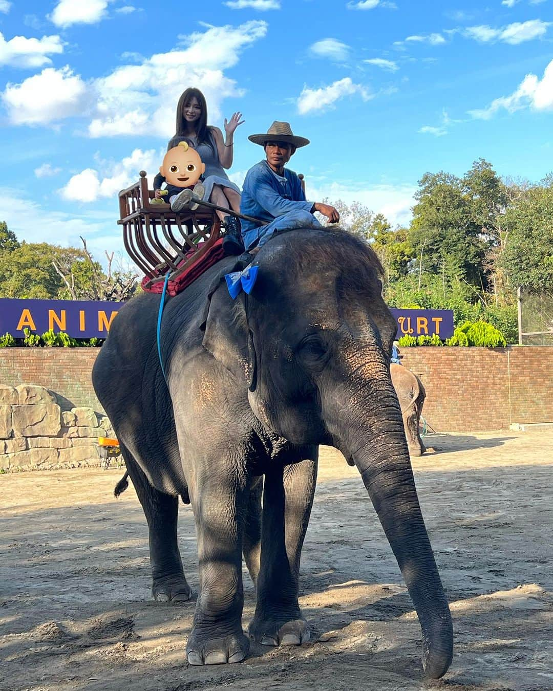 神子島みかさんのインスタグラム写真 - (神子島みかInstagram)「. 妹と我が子達とプチ旅行 1日目は象さんの元へ🐘  #プレシンママ #アラフォーママ #プチ旅行 #市原象の国#🐘 #象に乗る」10月14日 18時50分 - kagomika