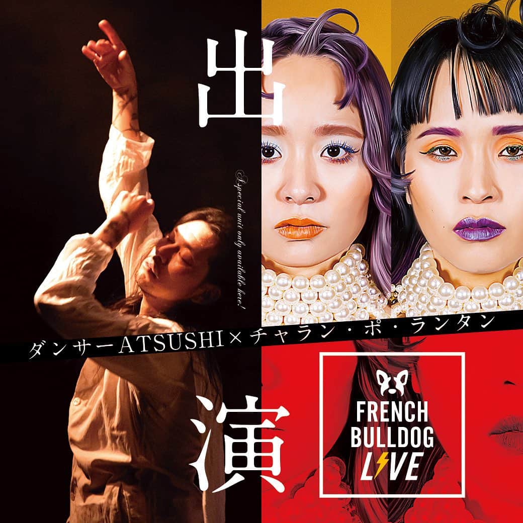 French Bulldog Lifeのインスタグラム：「【ダンサーATSUSHI(元Dragon Ash)×チャラン・ポ・ランタン　出演決定！】  「フレブルLIVE」まで、残り2週間を切りました⚡️  出演アーティスト第二弾の情報解禁です！  キヨサクさん（MONGOL800）、Microさん（Def Tech）さんに続くのは…  「ダンサーATSUSHI(元Dragon Ash)×チャラン・ポ・ランタン」の限定スペシャルユニット！  「フレブルLIVE」でしか見られない、異色で贅沢なLIVE SHOWをお楽しみください⚡️  ★詳しくはフレブルライフをcheck プロフィールまたはストーリーズからどうぞ @french.bulldog.life  ★前売りチケットの購入は明日（10/15日）まで！  #フレブルLIVE」
