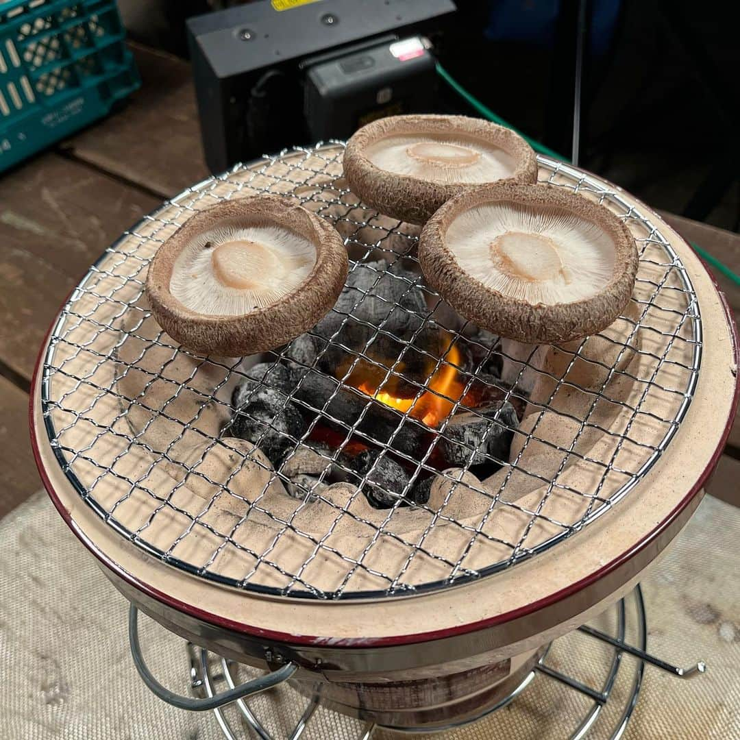 眞家泉さんのインスタグラム写真 - (眞家泉Instagram)「. 昨日は、横浜で500年以上続く『永島農園』さんにて、椎茸の取材。 暑さが続いたため収穫時期は例年より遅れたものの、よい椎茸ができたそうです。  おすすめの食べ方だという片面焼き。 焼いているときからいい香りがふわっと漂ってきて、身が厚くて驚きの美味しさでした！ （撮影するときの技術さんたちのこだわりを、私は横で感心しながらただ見学）  暑さや雨と密接に関わる野菜や果物。 農家の皆さんの努力や工夫には、強い思いが込められていることを、取材のたびに感じます🍂🌾🥕  #永島農園 #しいたけ #ロケ」10月14日 14時16分 - maie_izumi