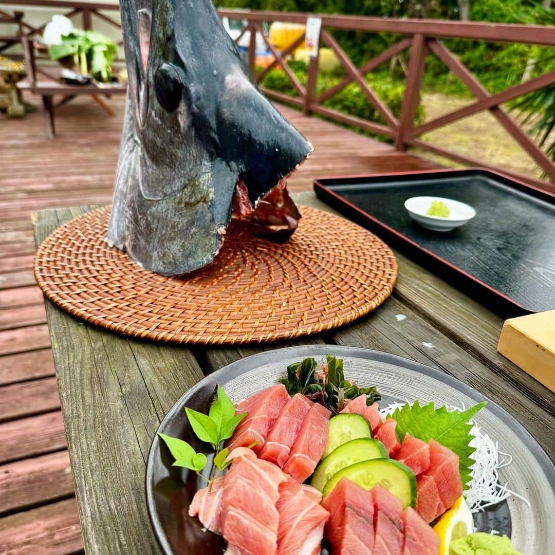 中丸雄一さんのインスタグラム写真 - (中丸雄一Instagram)「鹿児島でバショウカジキ、別名秋太郎の発掘調査した。大きい魚ですわ。お刺身で食べるのはほぼ県内だけらしい。どの調理法も美味しかった☺️  特に炙りはおすすめですね〜。」10月14日 14時57分 - y_nakamaru_94