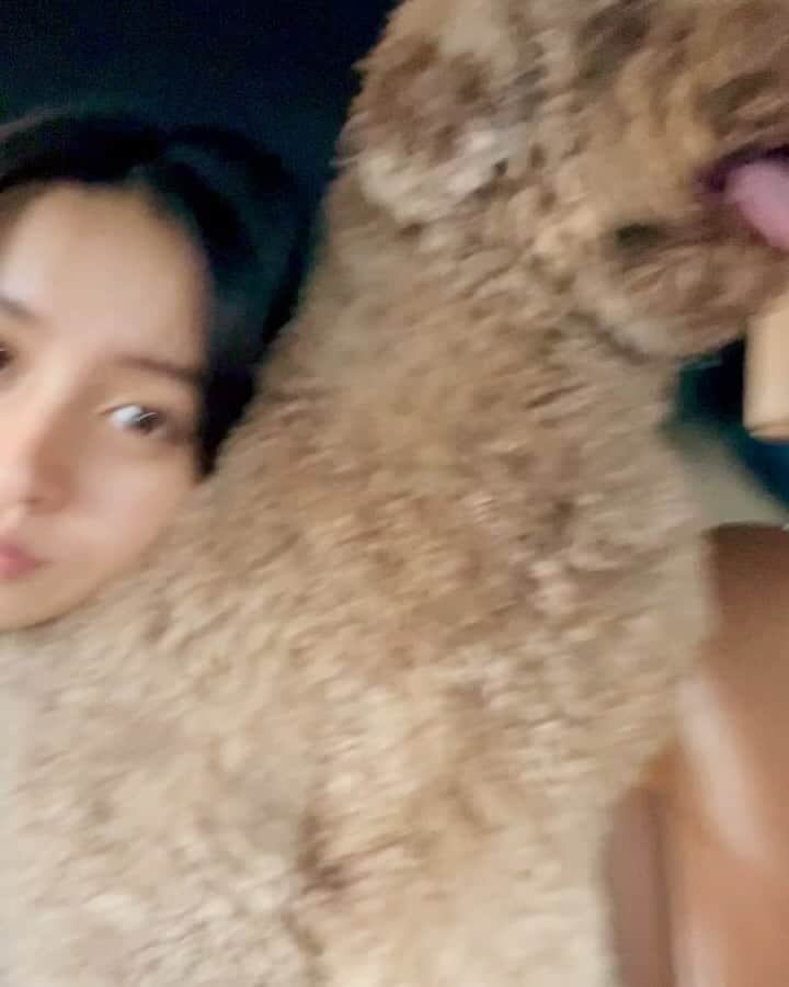 kokiのインスタグラム：「ルンちゃんとのお散歩📷  満開の金木犀🥰 甘い香りが大好きです☺️」