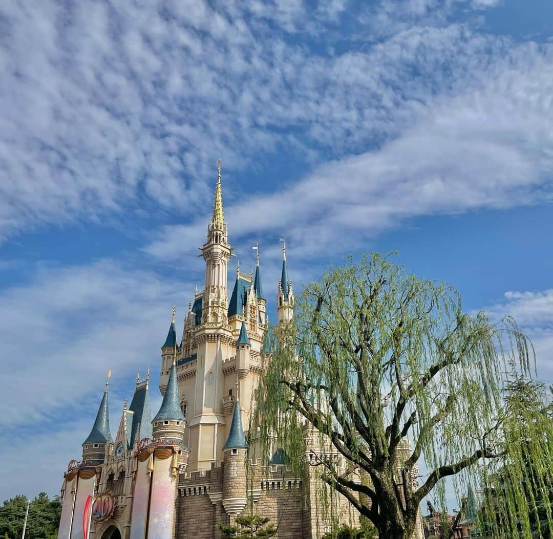 ソ・シネのインスタグラム：「OCT in Tokyo Disney & つくば 🎠🍃」