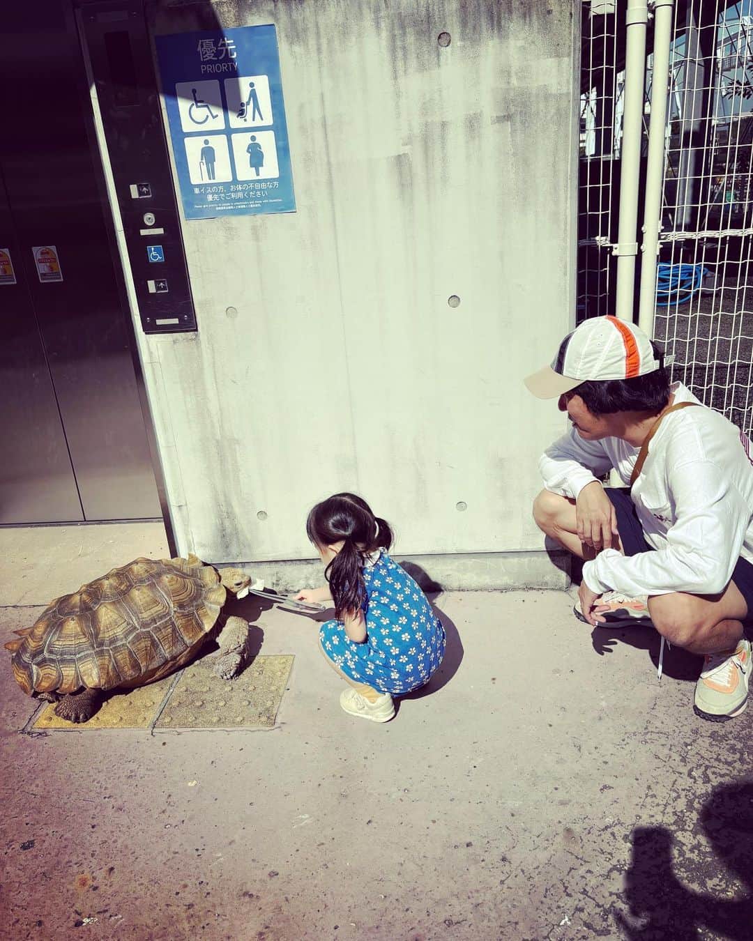 本多力さんのインスタグラム写真 - (本多力Instagram)「エレベーター前の亀に餌をあげる娘と、それを身守る私と、それを撮る妻の影。」10月14日 16時20分 - hondachikara