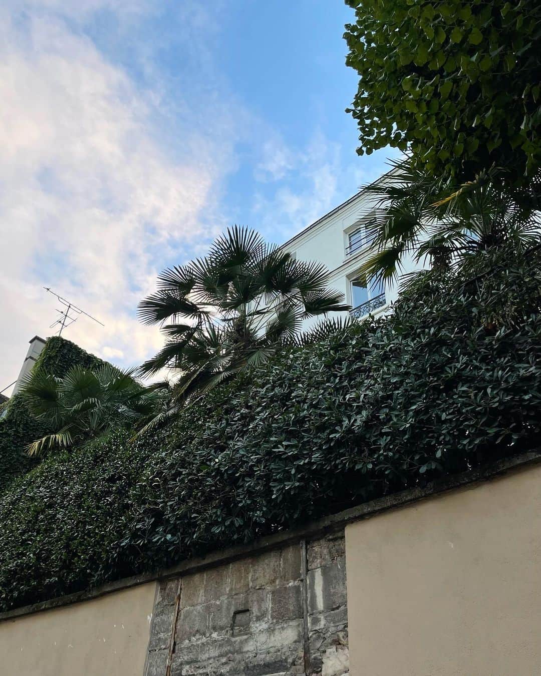 デレク ラムのインスタグラム：「Paris is sizzling, but autumn is finally here. Random Friday night, après the start of Paris Art Basel. The city and the people, fab.」