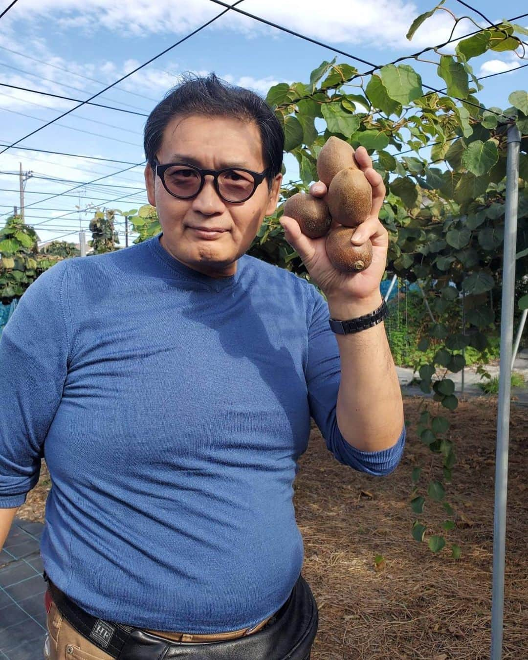 貴乃花光司のインスタグラム：「キウイ狩りへ🥝 シークワーサーは良い香りです。」