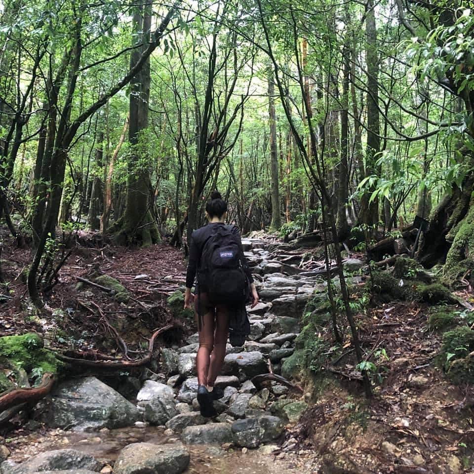 柿本絢菜 (24)さんのインスタグラム写真 - (柿本絢菜 (24)Instagram)「毎日毎日満員電車に人混み。そろそろ自然が恋しい。  夏の和歌山が最後の自然のふれあいやったかなぁ。沖縄もなくなったしで、このところ自然不足。  虫は嫌いやけど、山は好き。11月の鹿児島では、思う存分自然を堪能したい。綺麗な空気吸いたい。うめこたろいっこう、よろしく。  緑が見たくて、5年前に屋久島の写真をほり出してきた。もののけ姫の舞台になった屋久島。もののけファンの私にはたまらん経験でした。ただただ圧巻、しんどかったけど、また訪れたい。(でも今一番行きたいのは沖縄と奄美)」10月14日 18時59分 - aa_2.8