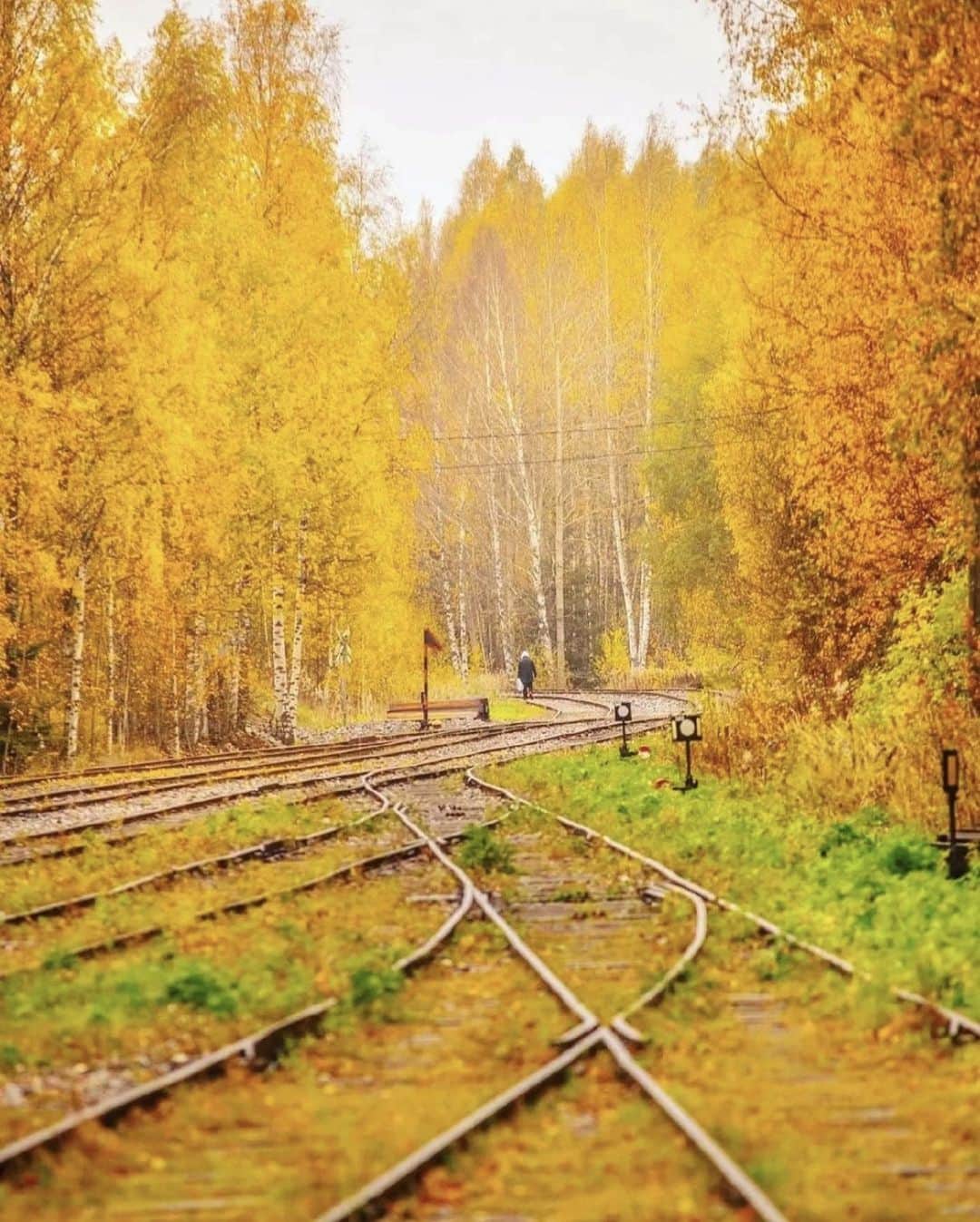 フィンランド政府観光局さんのインスタグラム写真 - (フィンランド政府観光局Instagram)「🛤️今日は日本の鉄道の日ですね～。   🚂フィンランドの鉄道の歴史は、ヘルシンキとハメーンリンナを結ぶ鉄道（108km）が開通した1862年に始まりました。  🚃現在フィンランドの鉄道網は全長9,216 kmにも及んでいます。  フィンランドでは列車の旅もおすすめです。  📸 @antsvahter Kiitos! 🙏 #visitfinland #ourfinland #visitfinlandjp #finland #北欧旅行 #travelgram #フィンランド #フィンランド政府観光局 #北欧 #travel #instatravel #travel #travelgram #travelling #traveler #旅したくなるフォト #旅行 #旅 #海外旅行 #travelphotography #旅行大好き #旅行好き #旅スタグラム #旅好き #ヨーロッパ旅行 #旅に出たい #トラベル #鉄道の日 #鉄道」10月14日 19時00分 - visitfinlandjapan