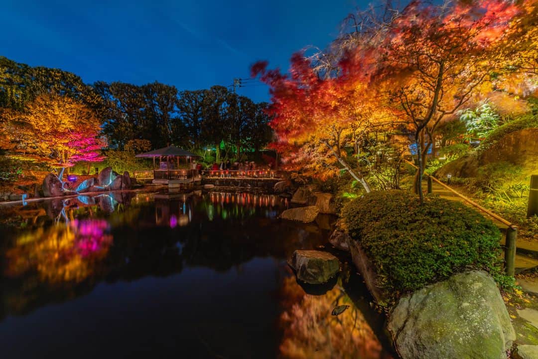 レッツエンジョイ東京さんのインスタグラム写真 - (レッツエンジョイ東京Instagram)「日本庭園の紅葉ライトアップ🍂✨  11/18(土)～11/26(日)までの期間、目白庭園で「―めじろアートナイトvol.5―『庭園の紅葉ライトアップ』」を開催予定！  伝統的な日本庭園と最新照明技術のコラボは必見です。期間中は伝統芸能の演奏会、癒しの音楽イベントも開催されます。  幻想的な晩秋の夜を過ごしてみてはいかが？😊♪  🔸目白庭園 @mejirogarden 📍東京都豊島区目白3-20-18 🚉目白  #レッツエンジョイ東京 #おでかけ #おでかけスポット #東京 #デート #デートスポット #東京観光 #東京イベント #自然 #秋 #autumn #紅葉 #紅葉スポット #紅葉狩り #紅葉見頃 #紅葉シーズン #紅葉ライトアップ #ライトアップイベント #ライトアップ #景色 #日本庭園 #庭園ライトアップ #秋イベント #風景 #絶景 #日本の風景 #さんぽ #散歩 #行楽の秋 #目白庭園」10月14日 19時00分 - lets_enjoytokyo