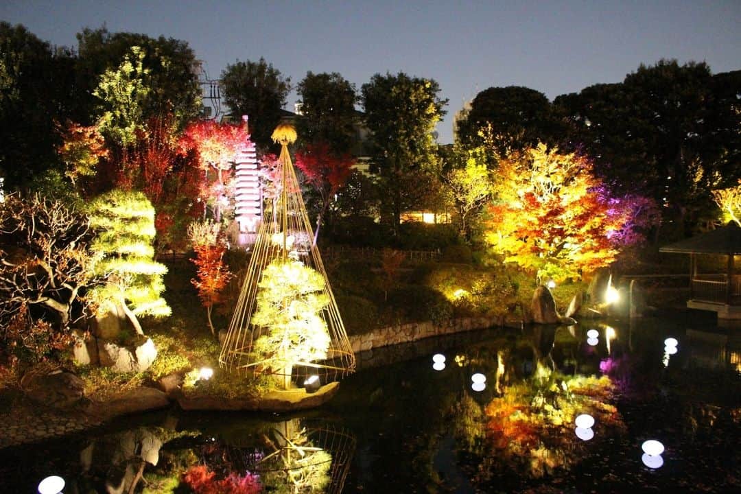 レッツエンジョイ東京さんのインスタグラム写真 - (レッツエンジョイ東京Instagram)「日本庭園の紅葉ライトアップ🍂✨  11/18(土)～11/26(日)までの期間、目白庭園で「―めじろアートナイトvol.5―『庭園の紅葉ライトアップ』」を開催予定！  伝統的な日本庭園と最新照明技術のコラボは必見です。期間中は伝統芸能の演奏会、癒しの音楽イベントも開催されます。  幻想的な晩秋の夜を過ごしてみてはいかが？😊♪  🔸目白庭園 @mejirogarden 📍東京都豊島区目白3-20-18 🚉目白  #レッツエンジョイ東京 #おでかけ #おでかけスポット #東京 #デート #デートスポット #東京観光 #東京イベント #自然 #秋 #autumn #紅葉 #紅葉スポット #紅葉狩り #紅葉見頃 #紅葉シーズン #紅葉ライトアップ #ライトアップイベント #ライトアップ #景色 #日本庭園 #庭園ライトアップ #秋イベント #風景 #絶景 #日本の風景 #さんぽ #散歩 #行楽の秋 #目白庭園」10月14日 19時00分 - lets_enjoytokyo