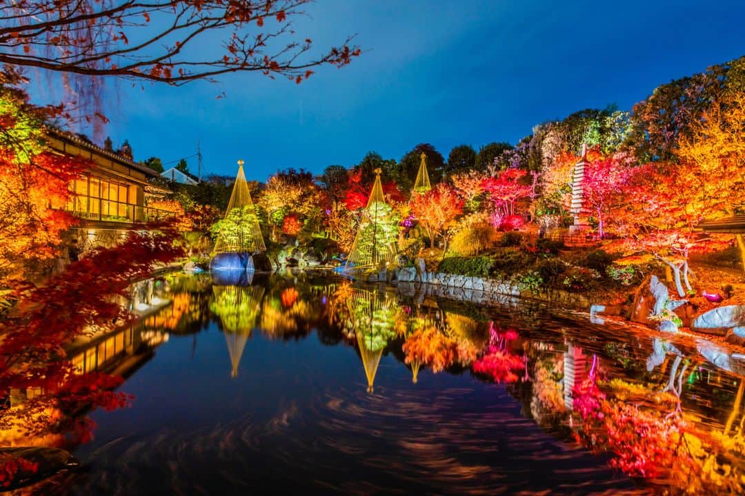 レッツエンジョイ東京のインスタグラム