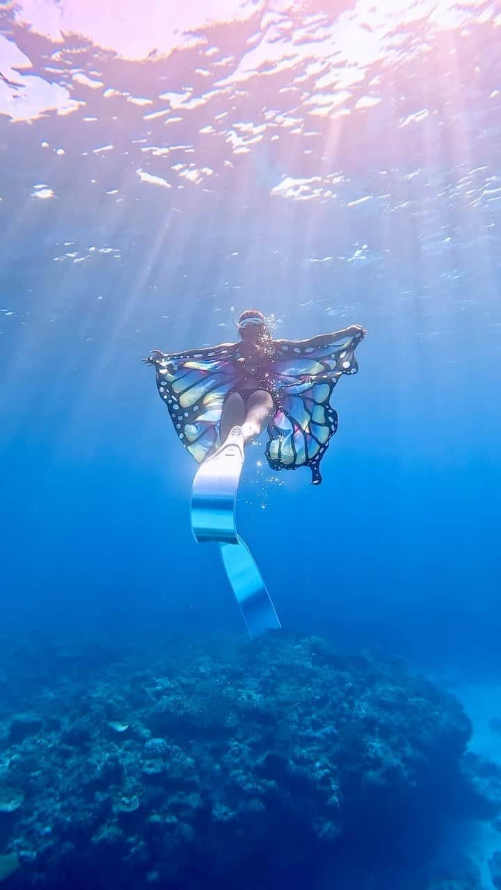 ToyoMaruのインスタグラム：「『癒し』をお届け🧜‍♀️🌺🫧  「控えめに言って、最高✨✨」  まだ水着でいけます🧜‍♀️✨  23.10.14  @goprojp  #hero12black   toyomaru tour⚓️  慶良間諸島・チービシ無人島🏝 那覇から船で約20分で到着🛥  ドローン撮影🚁 360度カメラ撮影 水中撮影🐟 映え撮影はお任せください😁  Positive Monster Ryukyu islands vibes🧜‍♀️🫧  皆さんと素敵な瞬間を共有できることを 楽しみにしてます🧜‍♀️🌺🫧  ◆◆◆2023とよまるツアー◆◆◆ ・無人島映えツアー🏝 ・スキンダイビングツアー ・1日1組限定🏖船チャーター海遊び⚓️ ・慶良間ダイビング🤿 ・ジェットスキーツーリング🌊 ・船上BBQ🍖…etc お気軽になんでもリクエストください😁  2023年2月〜3月 沖縄本島・那覇発🛥ホエールスイム🐳  2023年1月〜4月 与那国trip✈️ハンマーツアー🦈  2023年11月モルディブtrip✈️ 初の島ステイが実現🏖  開催します👏👏👏 それぞれ詳細お知らせします🤗 ご興味ある方📩DMください！ ご予約・お問い合わせお待ちしております ⚓️⚓️⚓️⚓️⚓️⚓️⚓️⚓️  #映え職人  #映えまる  #映えまる水産  #とよまるツアー  #toyomaru号  #okinawa  #skindiving  #gopro  #travel  #sea  #沖縄 #沖縄旅行 #旅行  #スキンダイビング  #無人島 #水着  #慶良間諸島 #ドローン  #インスタ映え  #網美景點 #沖繩 #沖繩旅遊  #潛水 #自由潛水  #leaderfins #タビジョ」