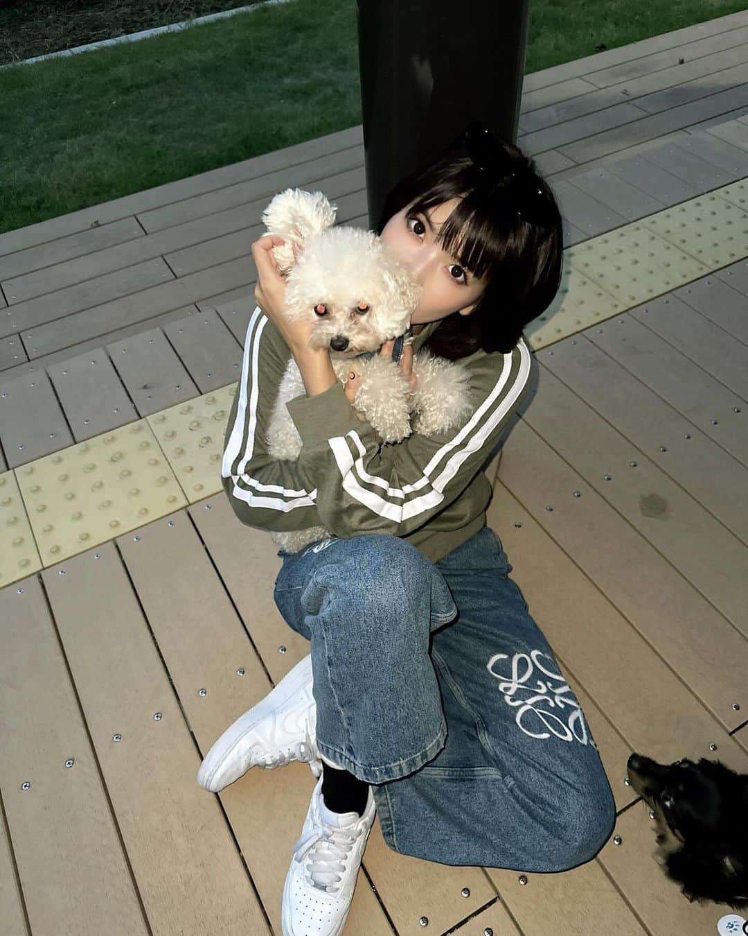 ききまるさんのインスタグラム写真 - (ききまるInstagram)「愛犬梅子🐾」10月14日 19時30分 - kikigram_97