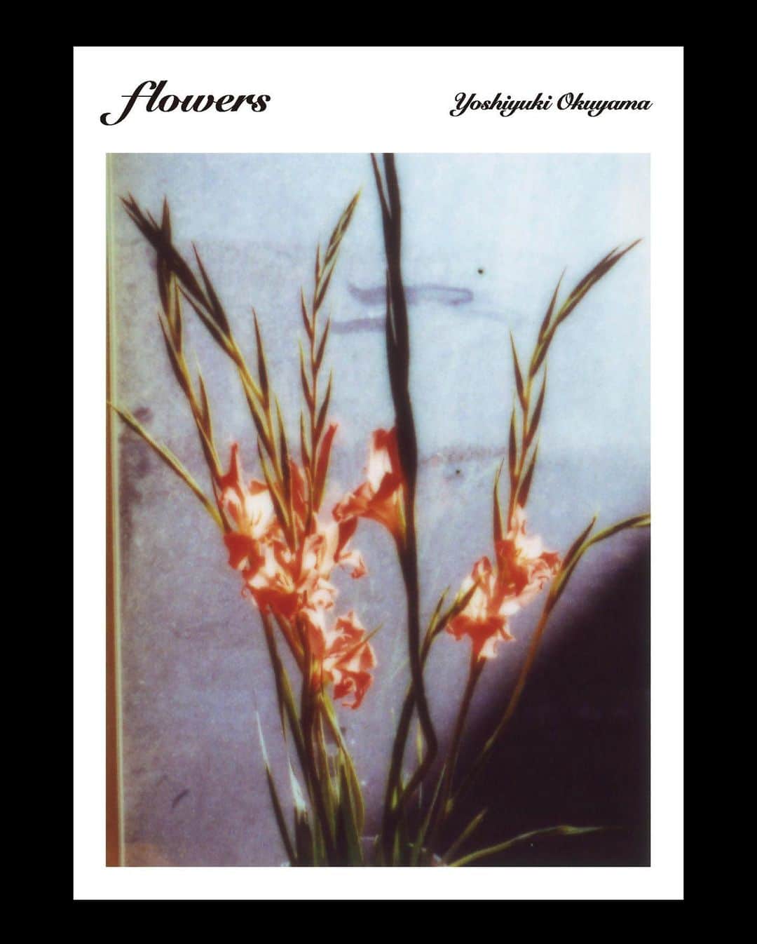 奥山由之のインスタグラム：「【展覧会開催】 写真集『flowers』の増刷を記念して、京都のPURPLEにて写真展を開催いたします。（関西では初めての個展です） Art Collaboration Kyotoの開催時期とも重なっているので、もしお近くにお越しの際には、是非お立ち寄りください。 会期中の10月28日（土）には、批評家・作家の竹内万里子さんとのトークイベントも行われます。詳しくはPURPLEのWEBサイトをご確認ください。 purple-purple.com  ー  奥山由之「flowers」展 会期：2023年10月25日（水） - 11月26日（日） 時間：13:00 - 20:00（水・木・金） / 11:00 - 19:00（土・日） 休廊：月曜・火曜 会場：PURPLE @purple_kyoto（京都府京都市中京区式阿弥町122-1 式阿弥町ビル 3階）  《以下、プレスリリースより》 ー花を媒介とした、亡き祖母との対話ー 「flowers」は奥山由之の亡き祖母が暮らしていた家で長年撮影されてきたシリーズです。この場所をいま自身のアトリエとする奥山は、射し込む光に、庭に揺れる草木に、生前の祖母を偲び、多くはなかった会話をあらためて紡ぐように、花を撮り重ねてきました。 写真集の再販に合わせて開かれる本展では、「flowers」から選ばれた写真と映像をそれぞれ異なるフレームやしつらえを施しPURPLEの空間に展開します。物として立ち現れるこれらのイメージには、本作の立体的な奥行き、眼差しや感覚の混交に、幅のある時間・歴史が息づくことでしょう。  ー  【Exhibition Announcement】 To commemorate the additional print run of the photo book "flowers," we will be hosting an exhibition at PURPLE in Kyoto. (This is the first solo exhibition in the Kansai region.) As this coincides with the period of Art Collaboration Kyoto, please drop by if you're in the area. For more details, please check PURPLE's website. purple-purple.com  ー  Yoshiyuki Okuyama "flowers" Exhibition Duration: October 25th (Wed), 2023 - November 26th (Sun), 2023 Hours: 13:00 - 20:00 (Wed/Thu/Fri) / 11:00 - 19:00 (Sat/Sun) Closed: Monday & Tuesday Location: PURPLE @purple_kyoto (F3, 122-1 Shikiami-cho, Nakagyo-ku, Kyoto, JAPAN 604-8261)  《Excerpt from the Press Release》 ーConversations with my late grandmother through flowersー "flowers" is a series by Yoshiyuki Okuyama that has been photographed over three years in the house where his late grandmother lived. Now using this place as his atelier, Okuyama recalls his grandmother from the rays of light that enter the room, and the plants swaying in the garden, and as if weaving the few conversations they had once again, he has continuously captured flowers. For this exhibition, coinciding with the photo book's re-release, photos and videos chosen from "flowers" will be presented at PURPLE, each framed and arranged in different ways. These tangible images, displayed as objects, may evoke a sense of depth, a mix of perspectives and sensations, breathing a broad sense of time and history into the work.  #奥山由之 #写真展 #flowers」