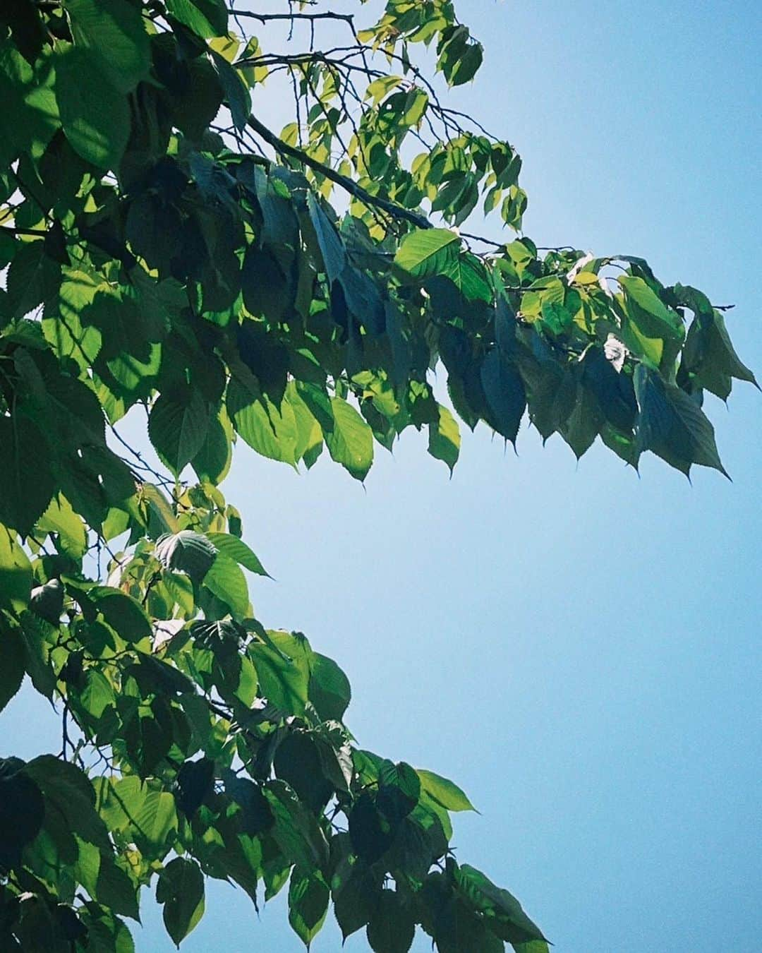 新井美羽さんのインスタグラム写真 - (新井美羽Instagram)「雨の日の夜、 傘の中から見る空が星みたいでした✨  もう夏はしばらくさよならだ〜 今朝起きたら足が少し寒くて冬を感じました ❄︎」10月14日 19時47分 - miu_arai_official