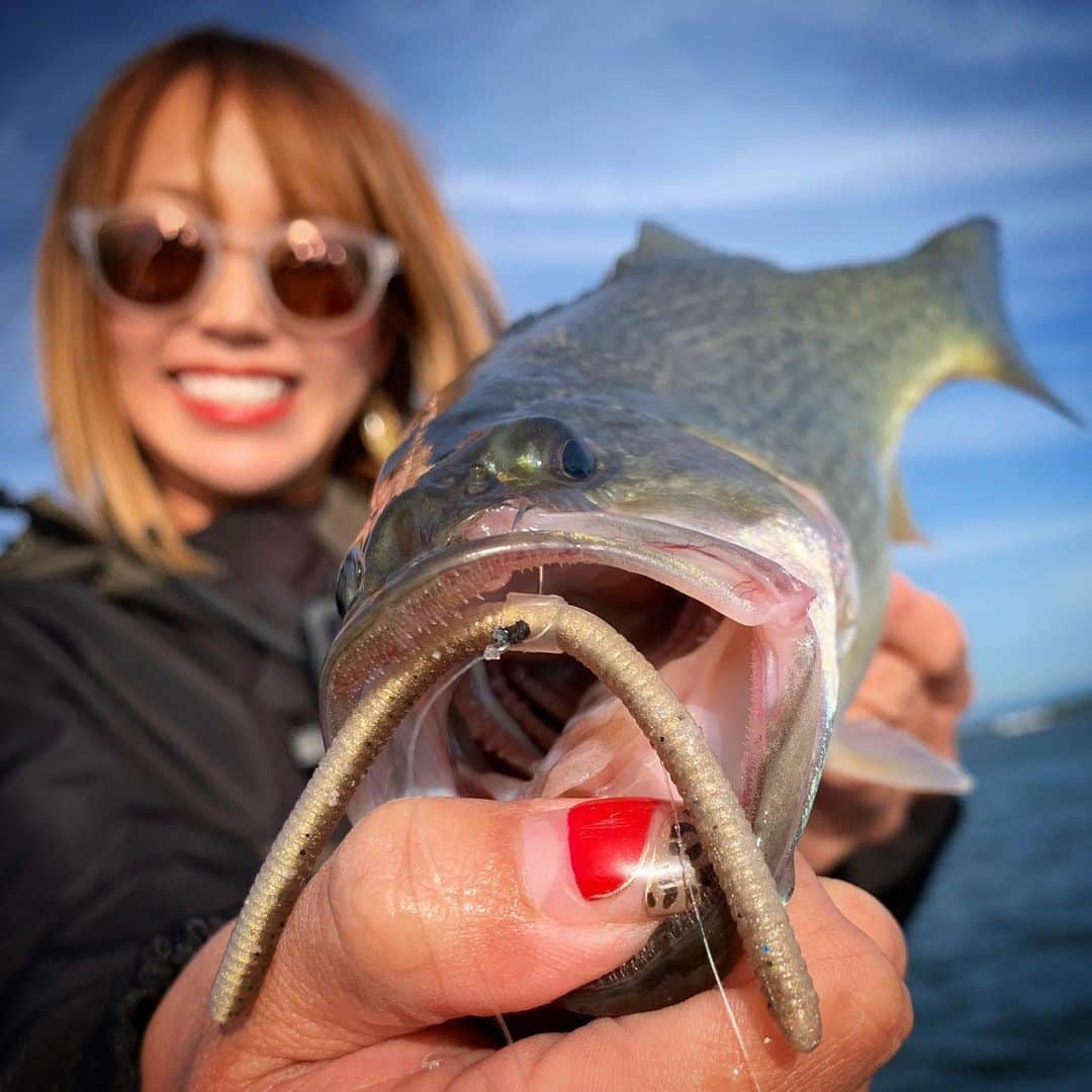 冨士木耶奈のインスタグラム：「. 久しぶりの琵琶湖でバス連発😍🎣 目標のロクマルは釣れらんかったけど プリプリバスがいっぱい釣れたし 終始ワイワイして めちゃくちゃたのしかったー🎶 いつか出会いたいぜ！ロクマル🤩  Camera📸柴P #琵琶湖バス釣り #ボートフィッシング  #琵琶湖 #バスボート #バス釣り #釣り  #ブラックバス #ホームレス女子 #🐆」