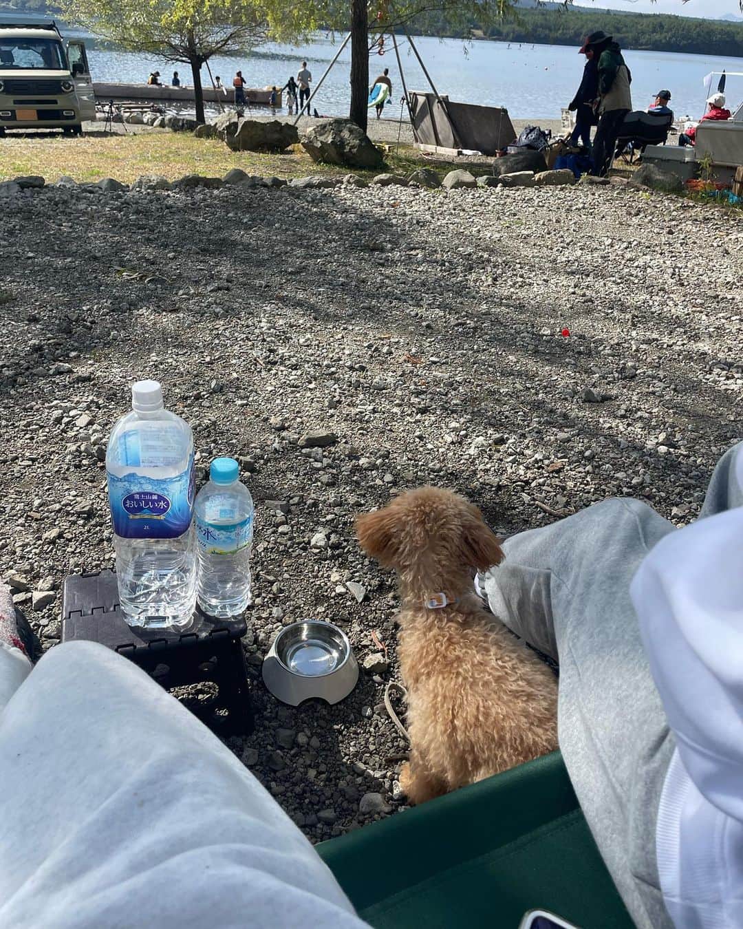傳彩夏さんのインスタグラム写真 - (傳彩夏Instagram)「思い出沢山できた~🫶🏻🔥 バニ初めてのキャンプ！  最後の動画みて、笑 顔面から転ける犬初めて見るけど怪我なく楽しんでくれたみたいでよかった🥹」10月14日 20時21分 - denayaka