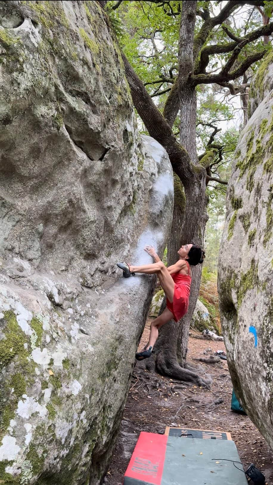 キャロライン・シノのインスタグラム：「🎥 red number 1 / Rocher Canon Seriously, left leg still remembers it! Such a tricky arete. What a beautiful but spicy circuit!🌶️ Last day of summer bouldering yesterday with @claravaschetto 🥰 Rouge numéro 1 du Canon! Sérieusement quelle vacherie🌶️Extrême cette arête mais vraiment belle !! @crimpoilofficial #recoverfaster @arkose.climbing #arkoesheroes @girlsinbleau @snap.climbing @frictionlabs @scarpaspa」