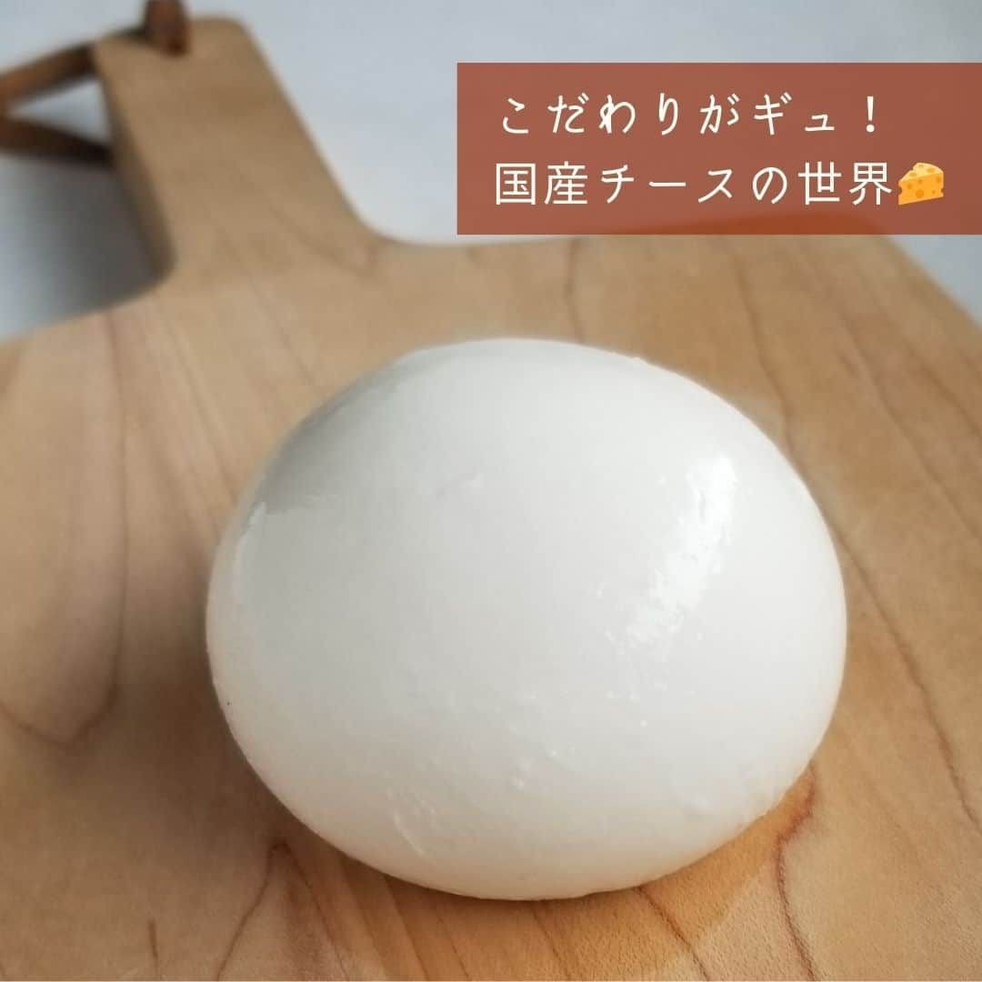 ポケットマルシェ(ポケマル) さんのインスタグラム写真 - (ポケットマルシェ(ポケマル) Instagram)「こだわりがギュ✨っと詰まった 国産チーズ🧀の世界を覗いてみませんか？ . 近年、国際的な権威あるコンテストでも入賞を果たすことも増えてきた国産チーズ。 海外のチーズが「塩味」で風味をつくるのに対し、日本のチーズは塩を少なくしながら「旨み」で風味をつくるんです。 . これも、職人の高い技術力と丁寧な仕事があるからこそ。 まだまだ希少な国産チーズ、ぜひ体験してみてください😋 . ◆１、２枚目　できたてモッツァレラとブラウンチーズのセット とてもミルキーで自然な甘さのできたてモッツァレラと、ホエイから煮詰めて作る、甘いキャラメルのようなブラウンチーズがセットに。 . ◆３、４枚目　長野県産山羊の白カビチーズ（ファルカディーレ） 珍しい山羊乳の白カビタイプのチーズです。冷蔵庫の中でも熟成が進むためお好きな熟期を見ながら、お楽しみください。 . ◆５、６枚目　国産チーズを食べ比べ！「にっぽんのチーズ定期便」 ポケマルがチーズの有識者と共にセレクトした、様々な生産者さんのチーズを毎月お届けする、特別な定期便です。チーズの世界が広がりますよ✨ . ….……………………… . 画像をクリックすると商品ページをご覧いただけます。 ポケマル公式アカウント（@pocket.marche）のリンクより、ポケマルにアクセスし、 「チーズ」と検索すると、さらにたくさんの商品をご覧いただけます。 . ………………………… . 産直EC「ポケマル」では 📌産地直送の食材を紹介 📌生産者さんの紹介 📌ポケマルのキャンペーン を日々投稿しています！ . 投稿が気になったら、ぜひフォローをお願いします👉 @pocket.marche . ………………………… #ポケットマルシェ #ポケマル #pocketmarche #農家直送 #産地直送 #生産者応援 #産直食材 #旬 #国産チーズ #チーズ好き #ナチュラルチーズ #定期便 #モッツァレラ #ブラウンチーズ #チーズの世界 #まるい #ヤギチーズ #山羊チーズ #希少 #白カビチーズ #食べ比べ #ぜひ食べて #ワインとチーズ」10月14日 20時36分 - pocket.marche