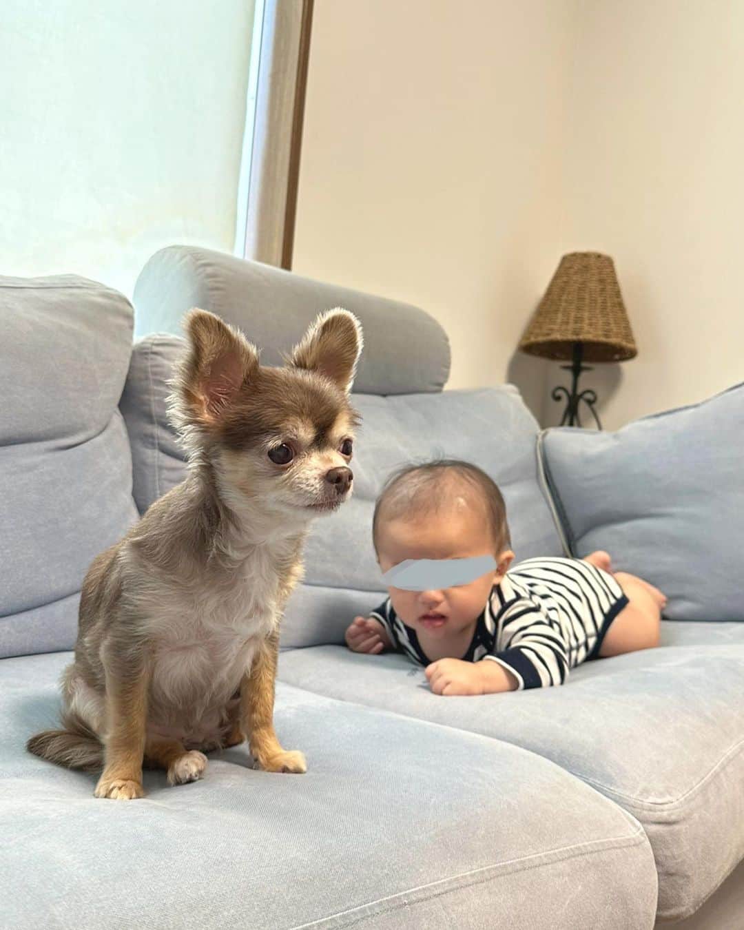 鈴木あやのインスタグラム：「すきぴ×2🥺🩵🩵🩵」