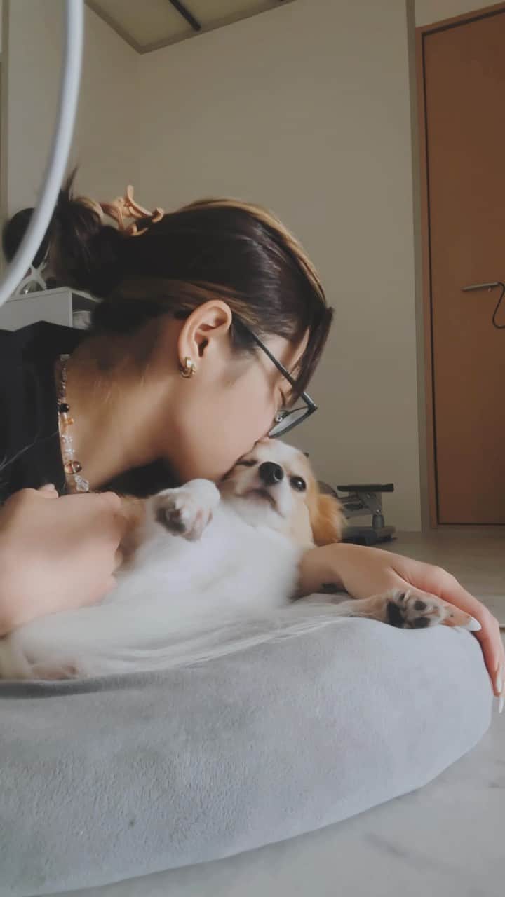 仲万美（Bambi Naka）のインスタグラム：「🐕🫶🏻🦌」