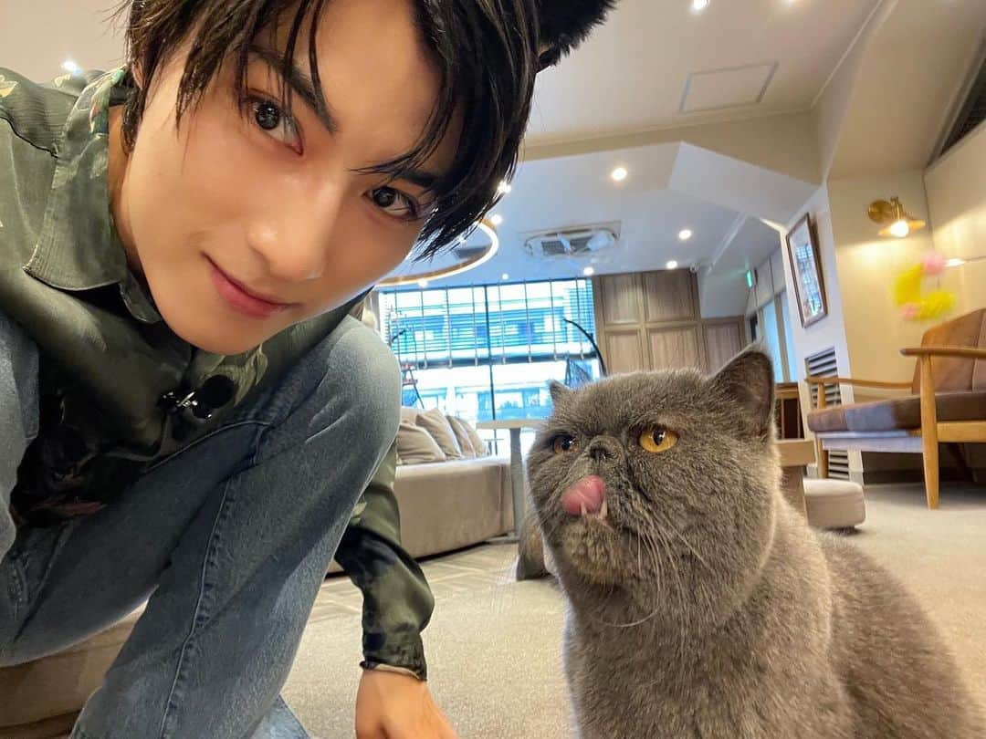 飯島颯さんのインスタグラム写真 - (飯島颯Instagram)「猫太君🐈‍⬛ 生誕動画撮影で伺った猫カフェで出会いました めっちゃ可愛かった  #superdragon #飯島颯」10月14日 21時45分 - hayate_kumakun_official