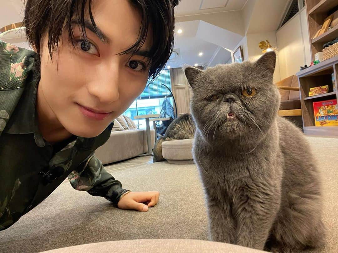 飯島颯のインスタグラム：「猫太君🐈‍⬛ 生誕動画撮影で伺った猫カフェで出会いました めっちゃ可愛かった  #superdragon #飯島颯」