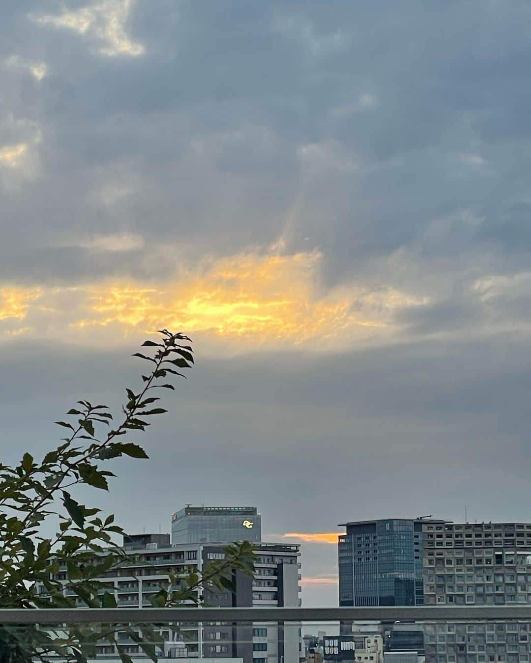 木下ココさんのインスタグラム写真 - (木下ココInstagram)「weekend mood🏙️✨ ・ テラスが気持ち良い季節🍁🍁 夏のビールの様に、外で飲むホットドリンクの喉ごしが心地良い🫖 ・ 冷え込むという夜用にブルゾン持ってきたけど、思ったより寒くならなくて良かった🥰♡ ・ ・ ・ #weekend #mood #cafe #tokyo  #fashion #outfit #ootd #週末 #ファッション #秋コーデ  #木下ココ」10月14日 21時55分 - cocot_chan