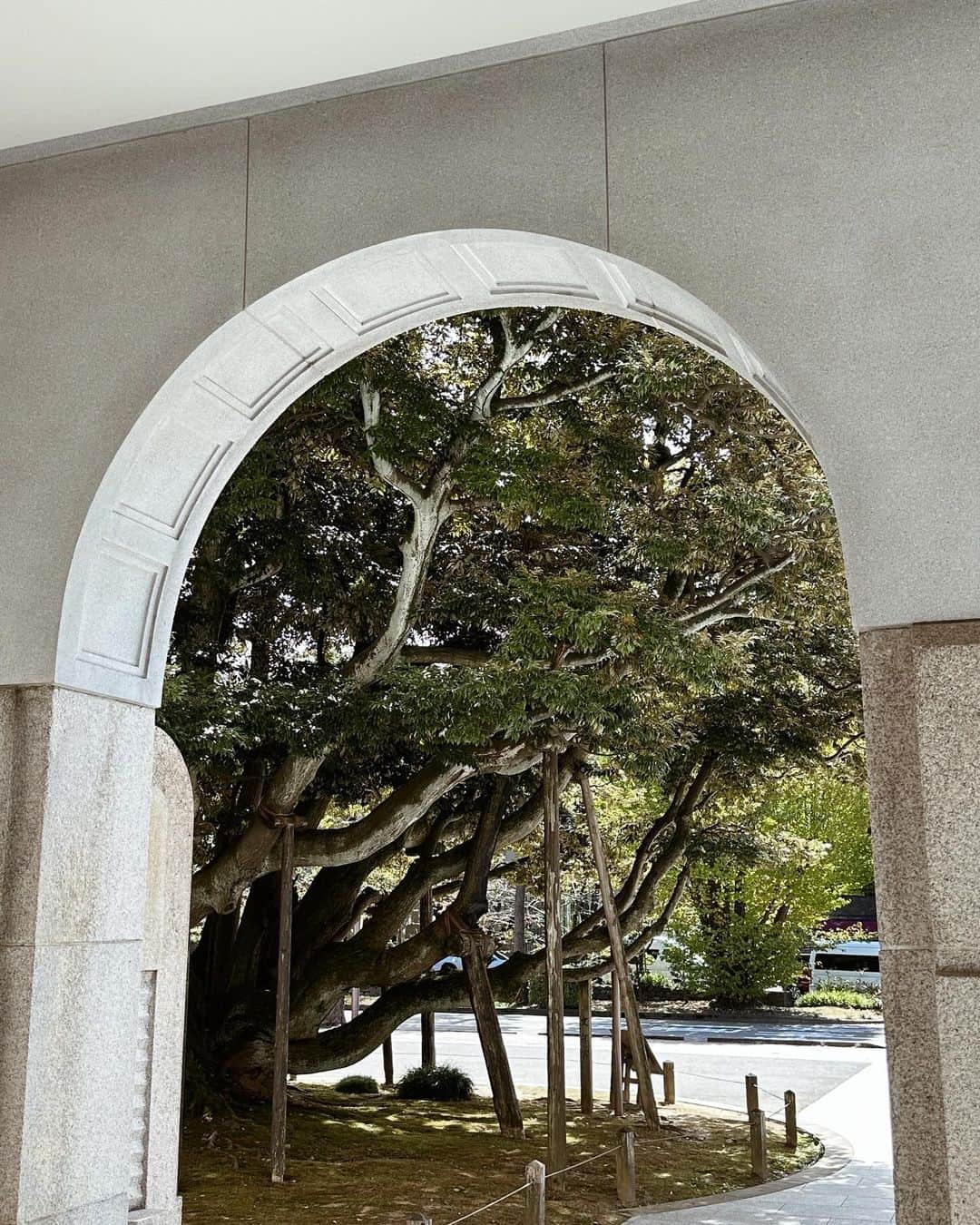 NittaSachikaのグルメインスタ