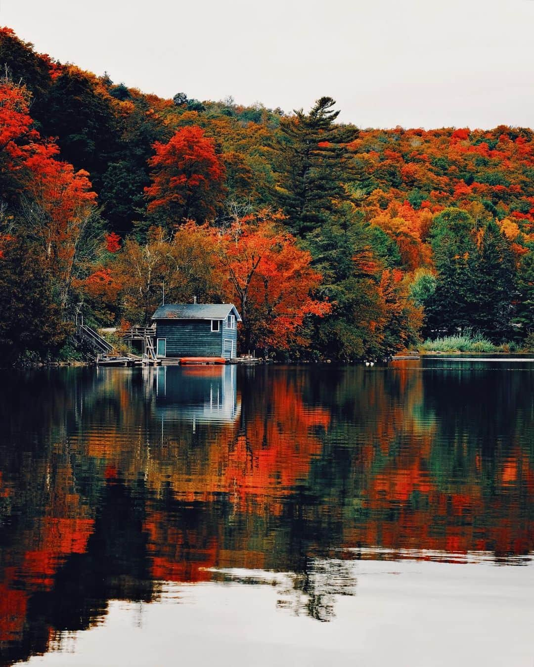 kaelのインスタグラム：「A little friend of mine, October road」