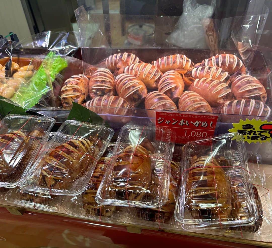 とぎもちさんのインスタグラム写真 - (とぎもちInstagram)「. 【北海道 🇯🇵 홋카이도】  北海道のジャンボいかめし🦑  今まで食べたいかめしの中で 1番美味しかった🥺💕  かなりの特大サイズだけど これで1000円！  イカの身ぷりぷり 中にはもち米ぱんぱん！！  もっちり激うま😍😍  次の日リピ買いした 笑  #ジャンボいかめし #北海道 #北海道グルメ #이카메시 #홋카이도  #일본 #とぎもちジャンボいかめし #とぎもちいかめし #とぎもち北海道」10月14日 22時29分 - togistagram
