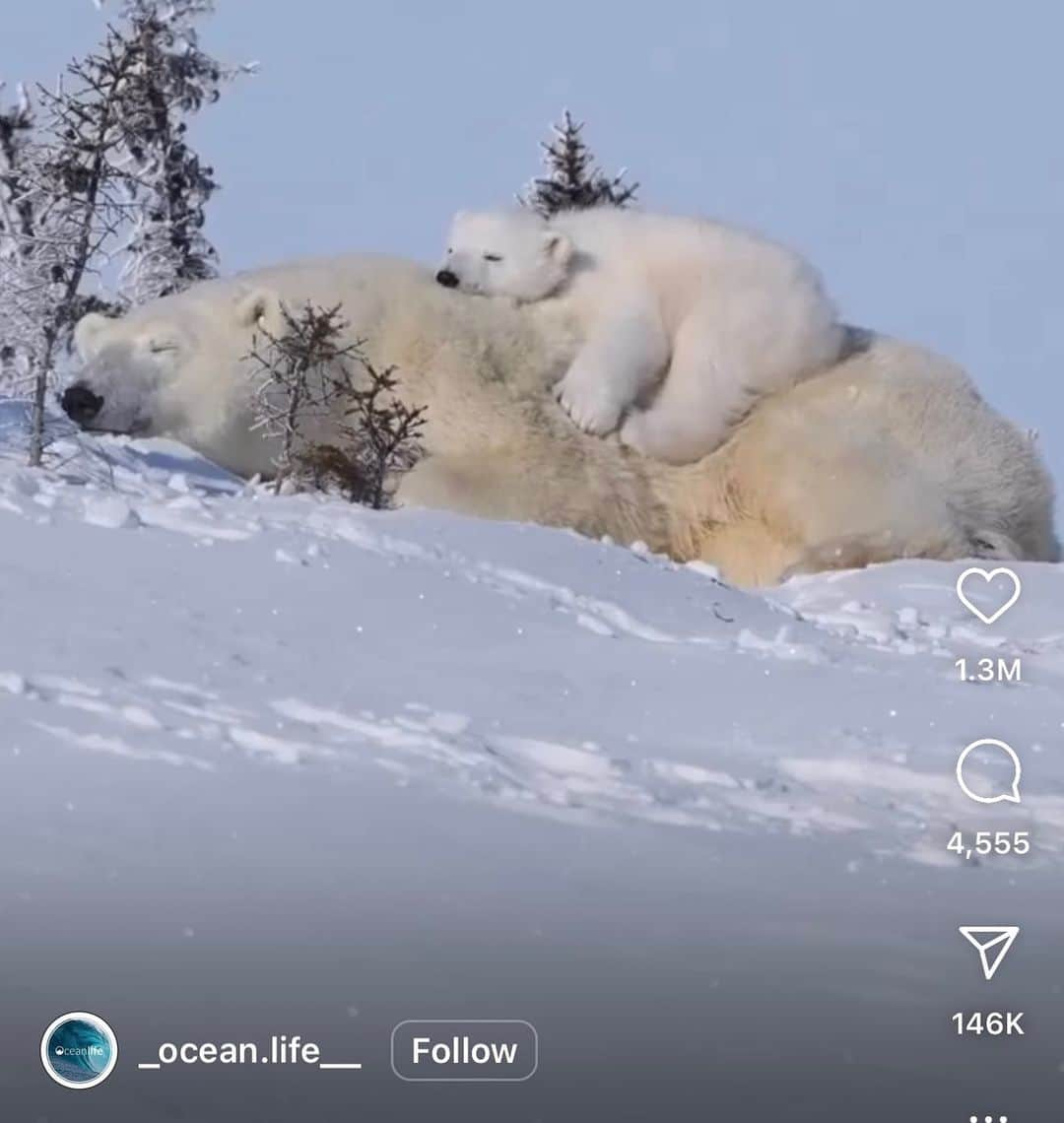 ジョン・シナさんのインスタグラム写真 - (ジョン・シナInstagram)10月14日 22時33分 - johncena