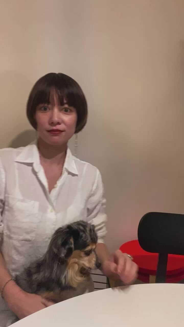 のインスタグラム：「お知らせライブ」