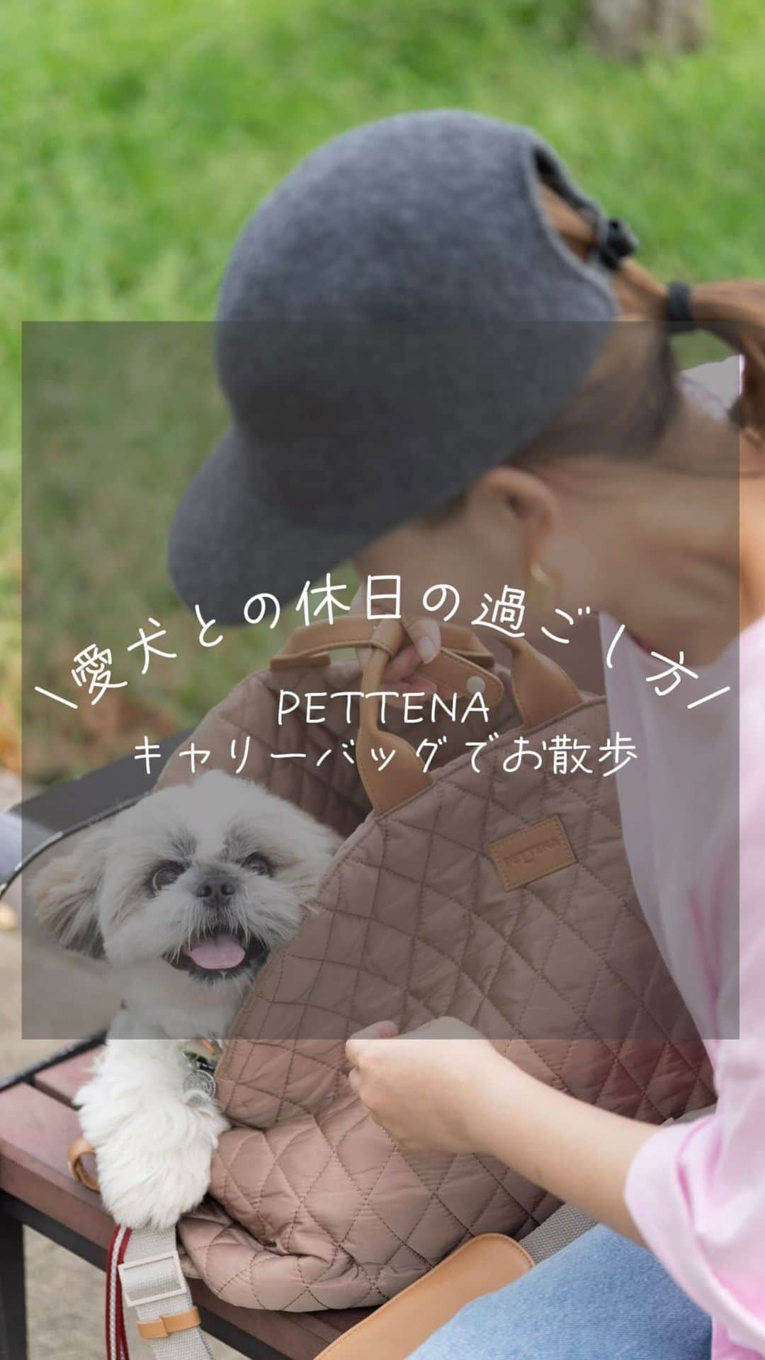 nanaのインスタグラム：「ㅤ @pettenajp さんからぽた丸🐶にと頂いた キャリーバッグが可愛い🫶🏻 スタイリッシュな女性が こういうバッグを持って歩く海外スナップに憧れてた← ので嬉しい😍 ㅤ 軽いし可愛いし🫶🏻 中にふっかふかのクッションが入ってて それが気持ち良いのか 家の中でも置いてると入ってる🥰 ㅤ 車移動の時はカーシートにもなるで🚗 ㅤ 10%OFFクーポンいただいたので 良かったら使ってね🐶 10%OFFクーポンコード【nana10off】 ストーリーズにリンク貼ってます🔗  ㅤ ㅤ ㅤ #PR #キャリーバッグ #わんこ #わんこのいる生活 #わんこキャリー #犬用キャリーバッグ #犬のいる暮らし #犬との暮らし #わんちゃんのいる生活 #ぽた丸 #シーズーミックス #shihtzu」