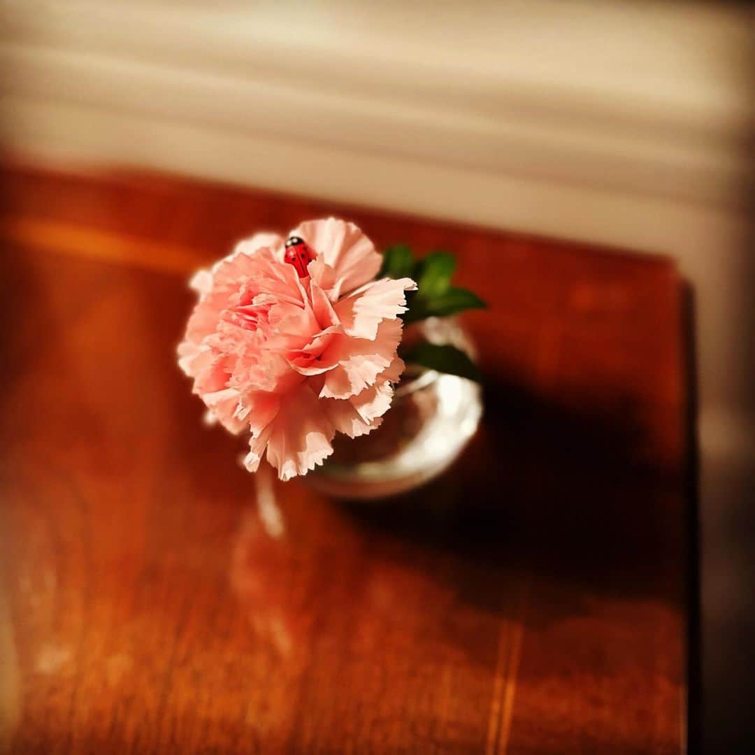 ただすけのインスタグラム：「ほっとひと息☺️」