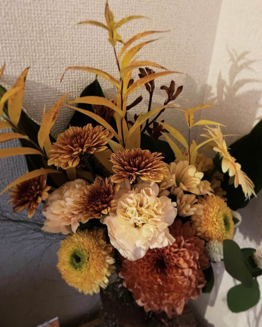 山口まゆさんのインスタグラム写真 - (山口まゆInstagram)「夜のお花も素敵だね‥ 今日ひとつクランクアップしました🤍 お楽しみに☺︎ それではおやすみ〜」10月14日 23時37分 - yamayu_official