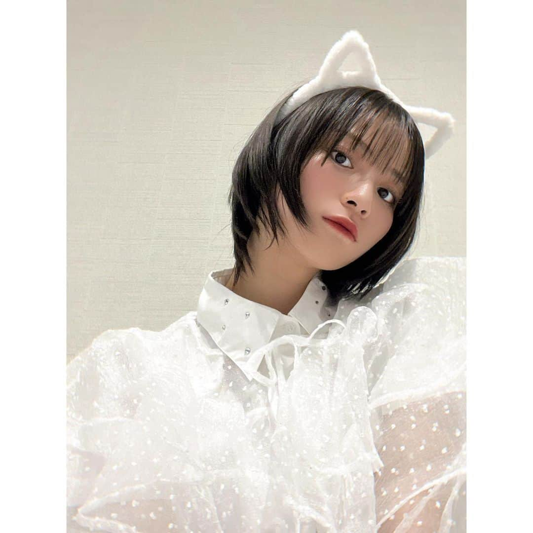 冨田菜々風さんのインスタグラム写真 - (冨田菜々風Instagram)「🤍*＊  これは好きねこさんでしょうか₍^·༝·^₎？」10月14日 23時59分 - tomita_nanaka