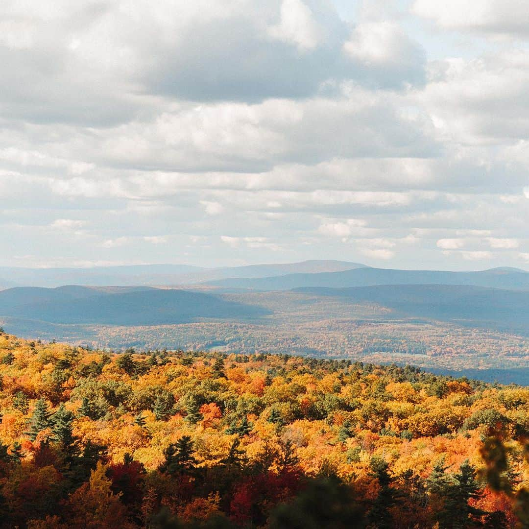 Snow Peak USAさんのインスタグラム写真 - (Snow Peak USAInstagram)「Enjoy fall with more time outside. This October, @autocamp and @snowpeakusa are teaming up to share the love of the outdoors and give you more time in nature.  GIVEAWAY - One winner will receive a 2-night stay at their choice of one of AutoCamp’s six locations and a $500 Snow Peak gift card to get outfitted for the adventure. Just follow the rules below and enter through the end of the month!  GATHERING + CAMPOUT - Join in on our time outside gatherings. Meet us at Snow Peak Brooklyn tonight, Saturday, October 14 from 4-7 PM, and join us upstate at AutoCamp Catskills from October 26-29 for culinary workshops, forest bathing, guided hikes, fireside conversations, and more! Plus, enjoy a Snow Peak pop-up at AutoCamp Catskills all October long. We’re here to help you recharge and connect with the outdoors and each other.   Head to our link in bio to enter to win, and then explore all of our events, happenings, and experiences.  Official Entry Rules Giveaway -Enter before 11:59 PDT on 10/31 -Follow @snowpeakusa and @autocamp -Tag at least 1 friend, bonus entries for up to 2 additional tags -Head to the link in bio to enter your email, agree to terms & conditions and complete entry  -Entrants must be 18+ and residents of the domestic United States」10月15日 0時28分 - snowpeakusa