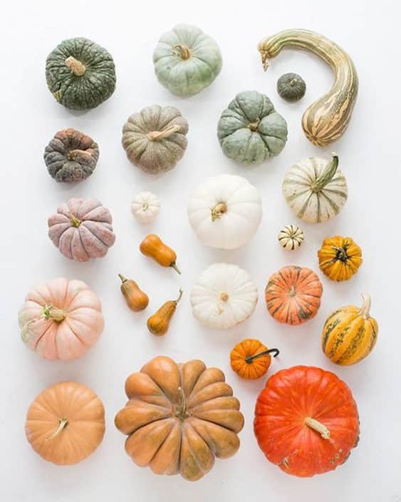 ジョジー・マランのインスタグラム：「10.18 We’re launching something festive. Are you ready?   Via Pinterest 🎃」