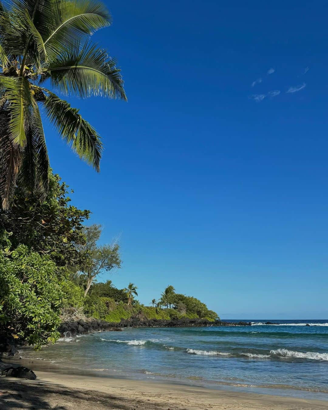 Annabel Smitさんのインスタグラム写真 - (Annabel SmitInstagram)「A little Hawaii nature appreciation post because wauw >>>」10月15日 2時25分 - annabelsmitt