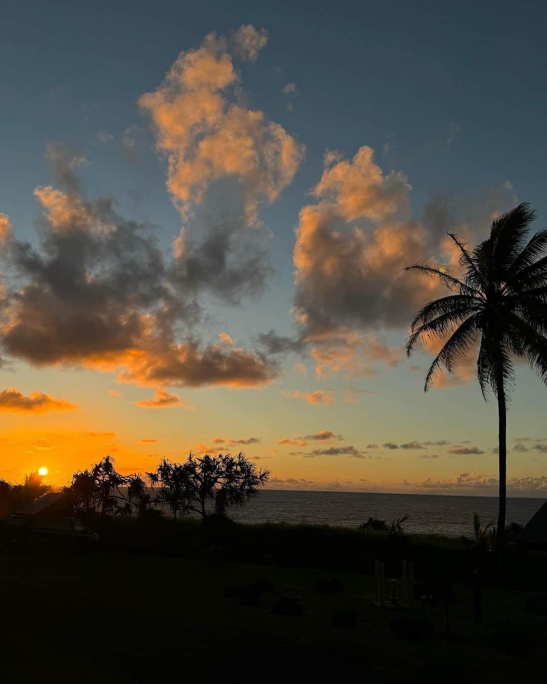 Annabel Smitさんのインスタグラム写真 - (Annabel SmitInstagram)「A little Hawaii nature appreciation post because wauw >>>」10月15日 2時25分 - annabelsmitt
